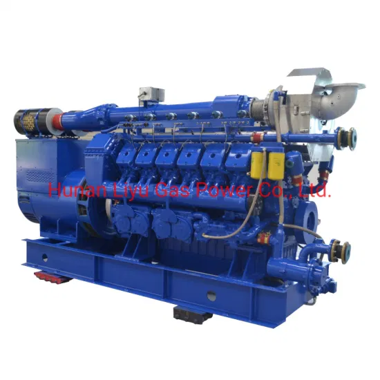Famous Brand Liyu Natural Gas/Biogas Power Generator for Sale